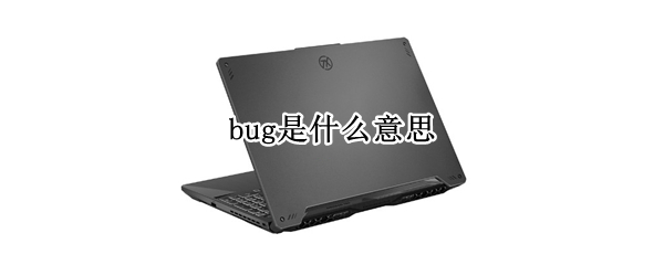 bug是什么意思