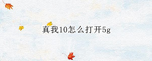 真我10怎么打开5g