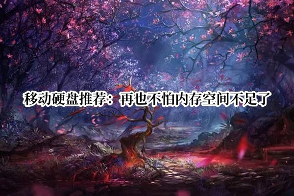 移动硬盘推荐：再也不怕内存空间不足了