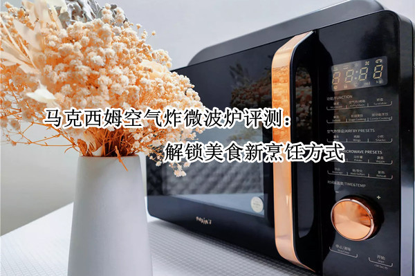 马克西姆空气炸微波炉评测：解锁美食新烹饪方式