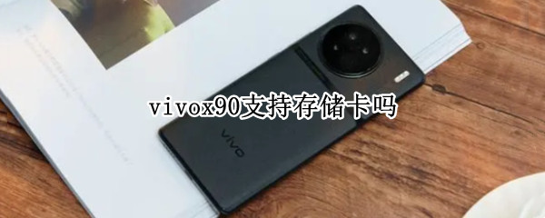 vivox90支持存储卡吗