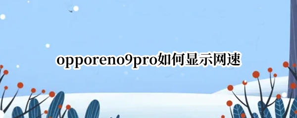 opporeno9pro如何显示网速