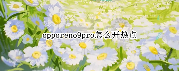 opporeno9pro怎么开热点