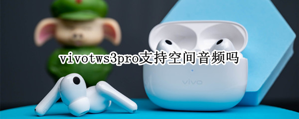 vivotws3pro支持空间音频吗