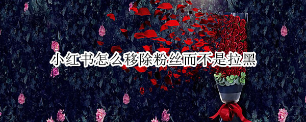 小红书怎么移除粉丝而不是拉黑