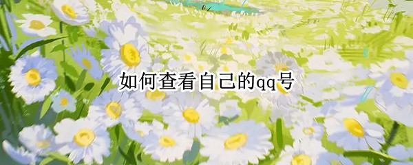 如何查看自己的qq号