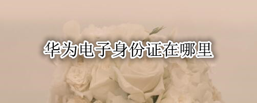 华为电子身份证在哪里