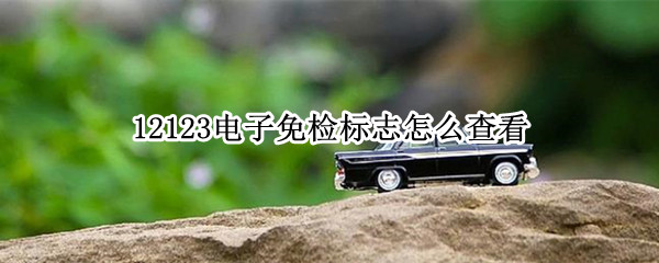 12123电子免检标志怎么查看
