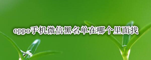 oppo手机微信黑名单在哪个里面找