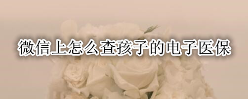 微信上怎么查孩子的电子医保