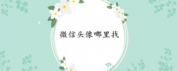 微信头像哪里找