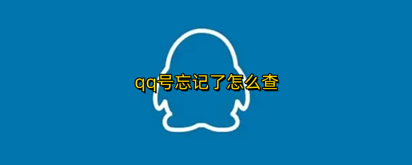 qq号忘记了怎么查