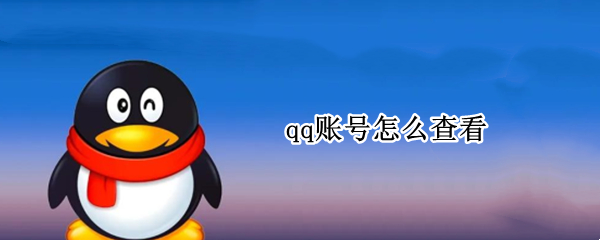 qq账号怎么查看