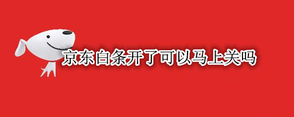 京东白条开了可以马上关吗