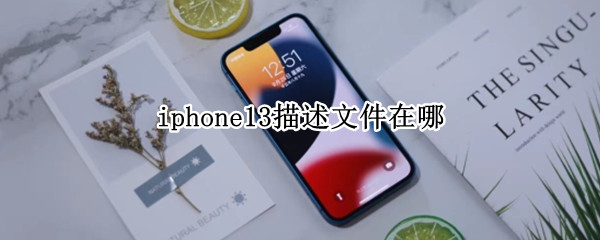 iphone13描述文件在哪
