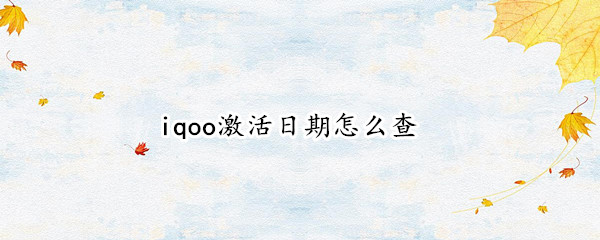 iqoo激活日期怎么查
