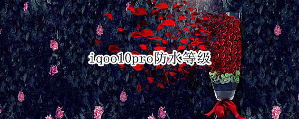 iqoo10pro防水等级