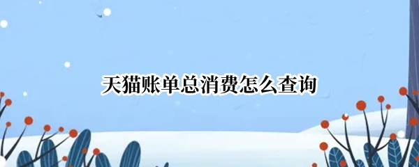 天猫账单总消费怎么查询