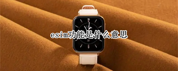 esim功能是什么意思