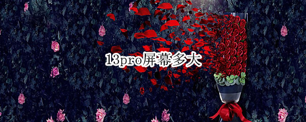 13pro屏幕多大
