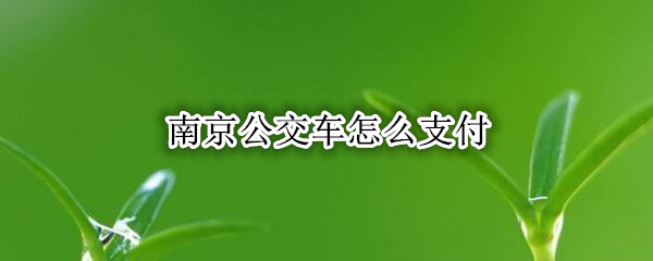 南京公交车怎么支付