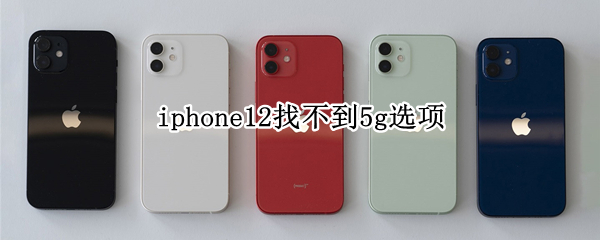 iphone12找不到5g选项
