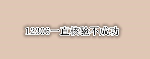 12306一直核验不成功