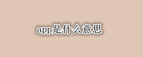 app是什么意思