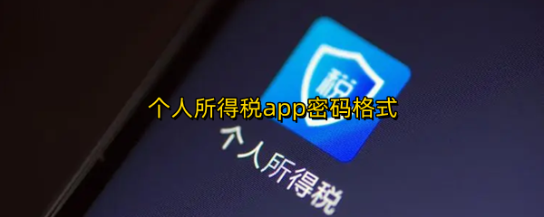 个人所得税app密码格式