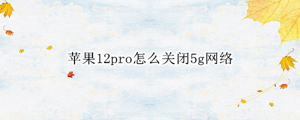 苹果12pro怎么关闭5g网络