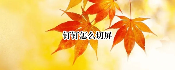 钉钉怎么切屏
