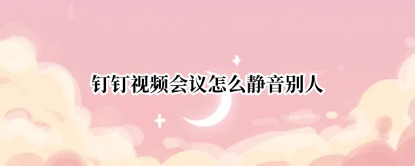 钉钉视频会议怎么静音别人