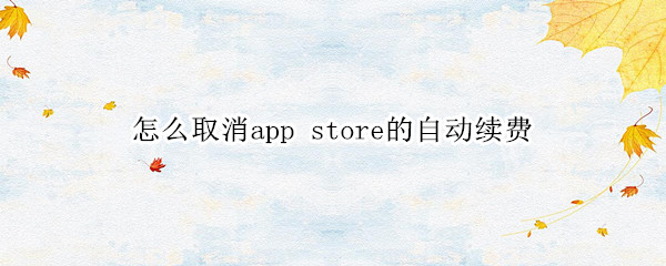 怎么取消app store的自动续费