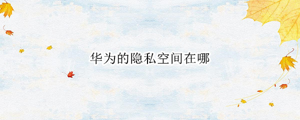华为的隐私空间在哪