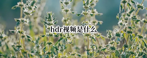 hdr视频是什么