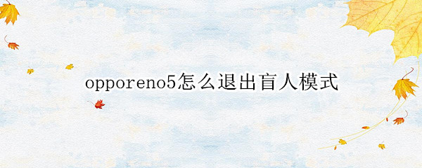 opporeno5怎么退出盲人模式