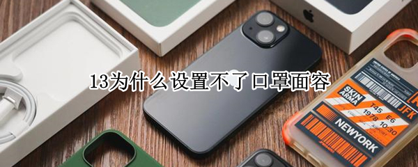 13为什么设置不了口罩面容