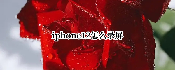 iphone12怎么录屏