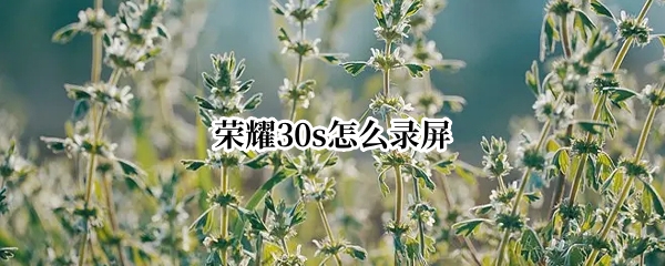 荣耀30s怎么录屏