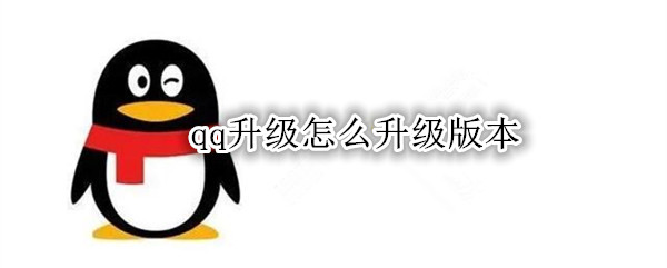 qq升级怎么升级版本
