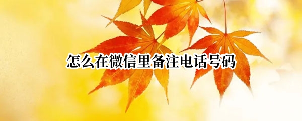 怎么在微信里备注电话号码