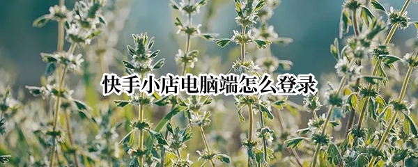快手小店电脑端怎么登录