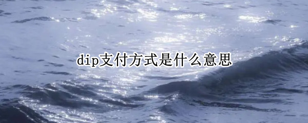 dip支付方式是什么意思