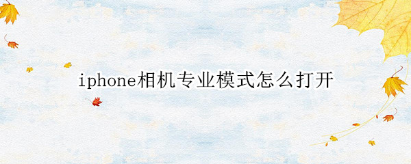 iphone相机专业模式怎么打开