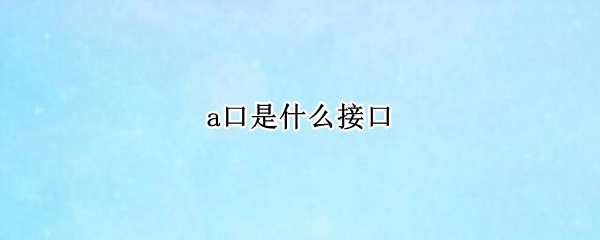 a口是什么接口