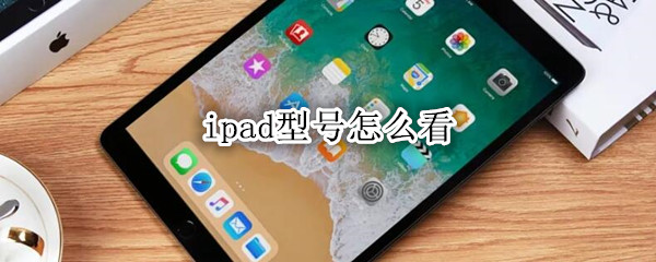 ipad型号怎么看