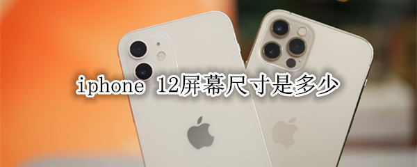 iphone 12屏幕尺寸是多少