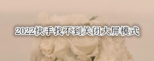 2022快手找不到关闭大屏模式