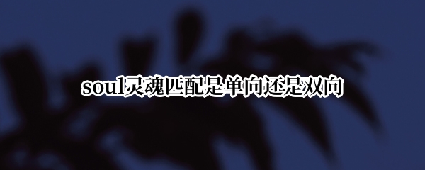 soul灵魂匹配是单向还是双向