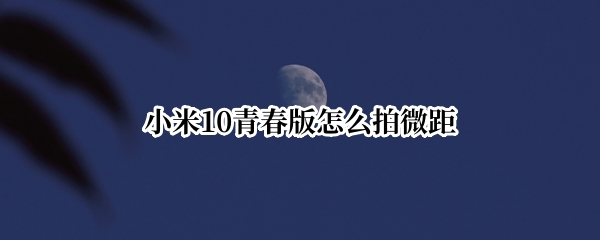 小米10青春版怎么拍微距